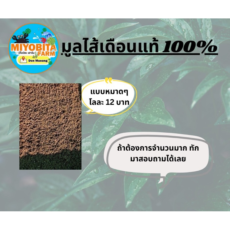 (15/05/26) มูลไส้เดือนแท้ /  ขี้ไส้เดือนแท้ 100% ร่อนละเอียด ความชื้นต่ำ บรรจุถุงซิบสีดำอย่างดี