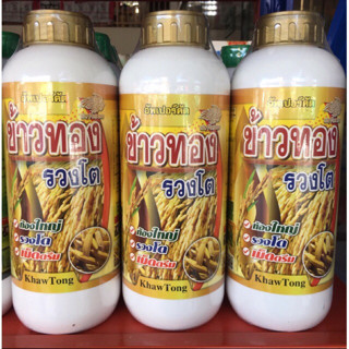 ข้าวทองรวงโต ฮอร์โมนเร่งน้ำนมข้าวเมล็ดเต่งได้น้ำหนัก