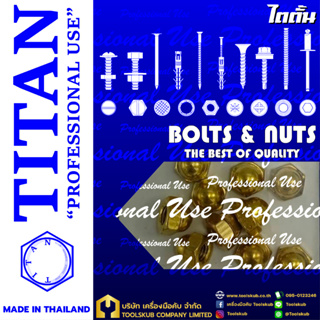 TITAN “PROFESSIONNAL USE” MADE IN THAILAND RP-4399 หัวน็อตหมวก-ทอง M4-0.7 (10ตัวใน1ห่อ)