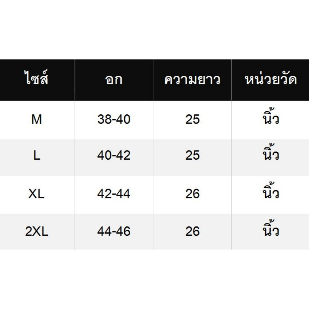 ꕥCatalog Fashionꕥ เสื้อยืดคอกลมแขนยาวลายทาง 3 สี