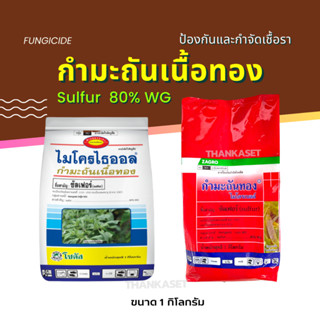 กำมะถัน เนื้อทอง ไมโครไธออล ไมโครเบลล์ sulfur 80% กำจัดไรแดง ไรสนิม ราแป้ง ขนาด 1 กิโลกรัม