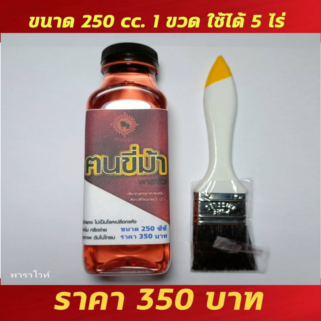 ฅนขี่ม้าพาราไวท์ 350 บาท ใช้ทาหน้ายางได้ประมาณ 5 ไร่