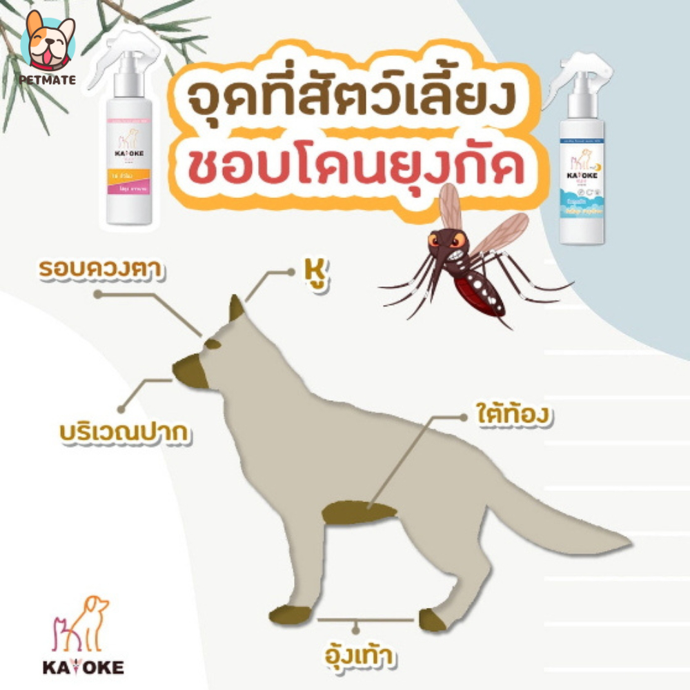 Kayoke Plus สเปรย์กันยุง สูตรใหม่เพิ่มบำรุงขน กันยุงนาน16ชั่วโมง สารสกัดอ่อนโยนจากธรรมชาติ
