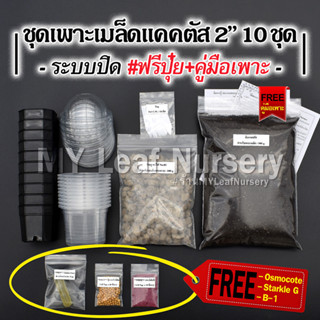 ชุดเพาะเมล็ดแคคตัส 2 นิ้ว ชุด10 กระถาง ระบบปิด *ไม่มีเมล็ด* มีคู่มือพร้อมเพาะเมล็ด