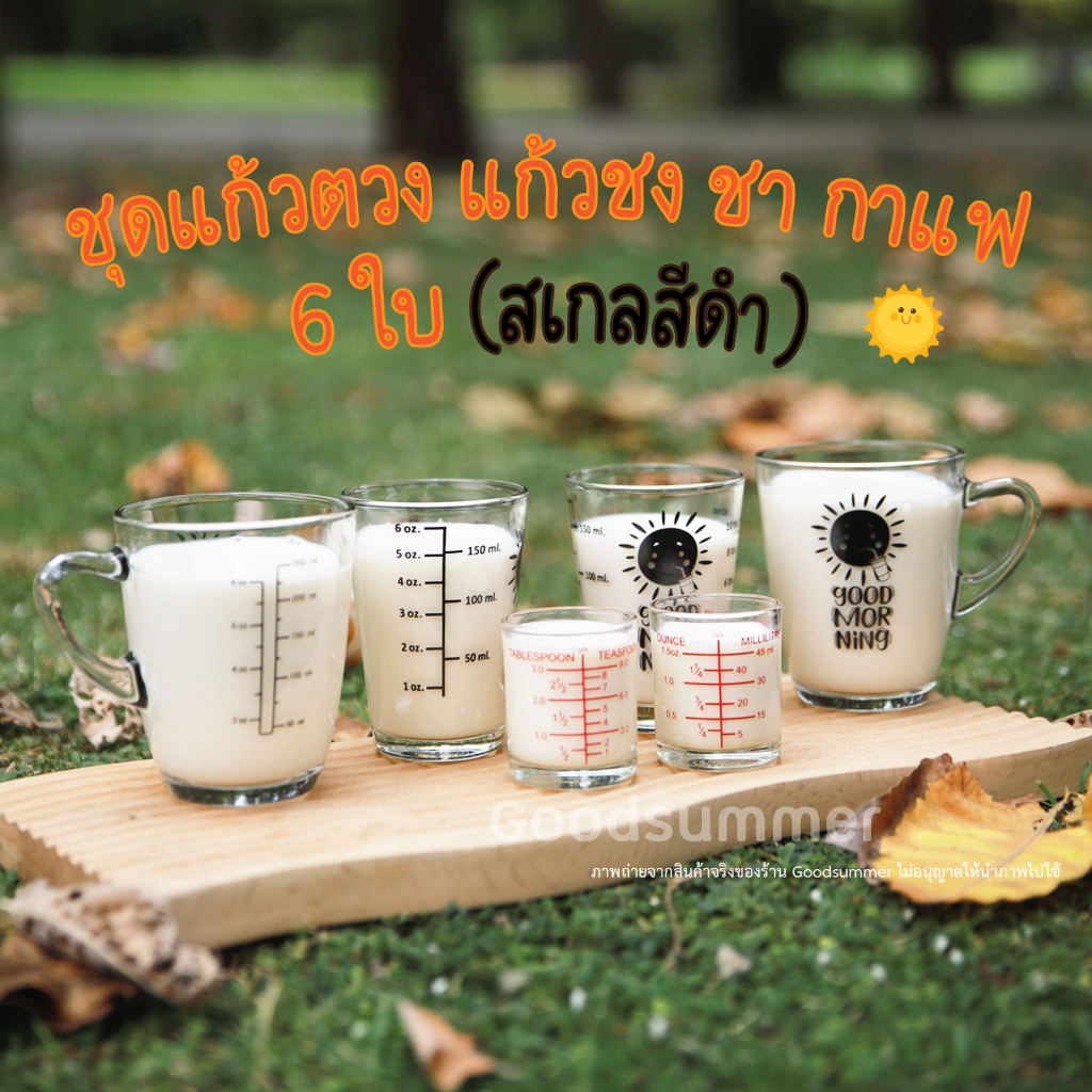 เซตขายดี มีสเกลให้เลือกเจ็ดสีค่า แก้วชงกาแฟ สุดคุ้ม ชุดแก้ว 6 ใบ