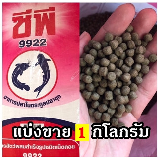 อาหารปลาดุก เม็ดใหญ่ 9922ซีพี((1กิโล))