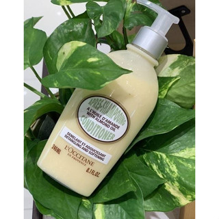 Loccitane Amande Conditioner Detangling and Softening 240 ml