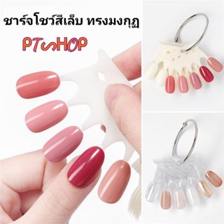 💅ชาร์จโชว์สีเล็บ ทรงมงกุฏ บรรจุ 10 แผง (ทาได้ 50 สี)…🇹🇭ส่งในไทย