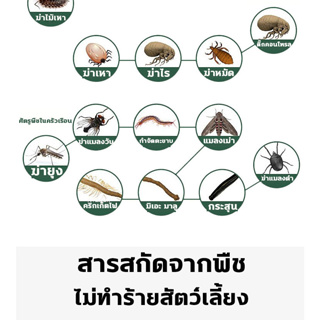 ฆ่าหมัดอย่างรวดเร็ว าฆ่าเห็บหมัด กำจัดเห็บและหมัด สเปรย์กำจัดเห็บ 500ML