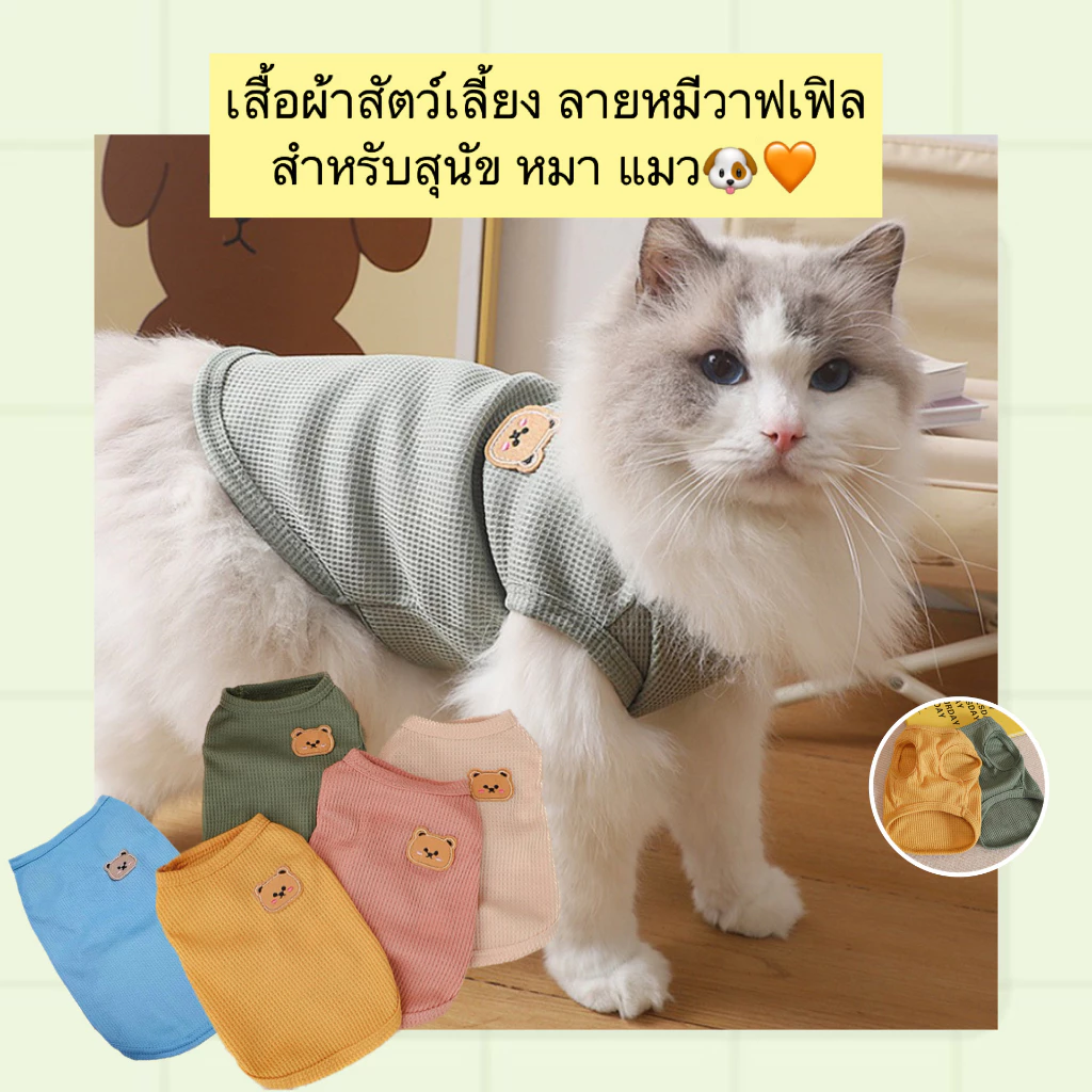 PP-468 เสื้อสัตว์เลี้ยงลายหมีวาฟเฟิล สไตล์น่ารัก ระบายอากาศเยี่ยม ใส่สบาย สำหรับหมาและแมว ราคาสบายกระเป๋า พร้อมจัดส่ง