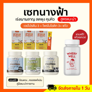 เซตนางฟ้า เวย์โปรตีน Whery Protein โปรตีนไดเอท คุมหิว เผาผลาญ เวย์รี่โปรตีน ของแท้รับตรงจากแบรนด์ (พร้อมส่ง/ส่งฟรี)