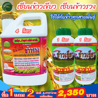 [พร้อมส่ง] เซียนข้าวเขียว 4 ลิตร ซื้อ1 แถม2 เซียนข้าวรวง ฮอร์โมนข้าว ยาฉีดข้าว ปุ๋ยน้ำ อาหารเสริมพืช อะมิโน สาหร่าย 14