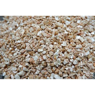 🤎 เวอร์มิคูไลท์ (Vermiculite)🤎 1ลิตร วัสดุปลูกไม้ด่าง☘