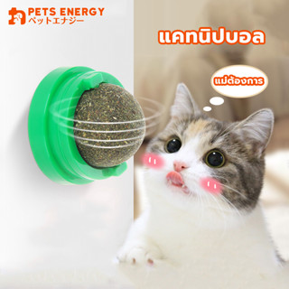 แคทนิปบอล กัญชาแมว แคทนิป Catnip ลูกบอลกัญชาแมว หมุ่นได้ ติดผนัง ไม่หล่นหาย น้องแมวชอบ สดชื่น ผ่อนคลาย อารมณ์ดี