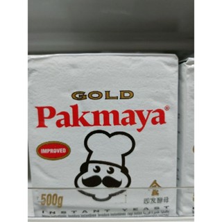 Instant DRIED YEAST 500g PAGMAYA