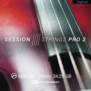 SESSION STRINGS PRO 2 | Kontakt software Library