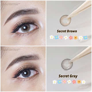 คอนแทคเลนส์ Protrendcolor รุ่น Secret (14.5mm.)