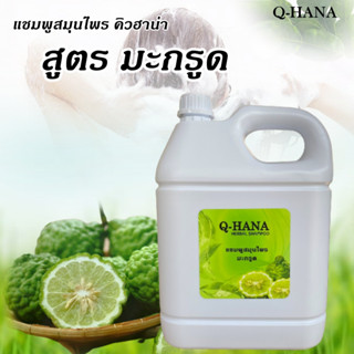 Herbal Shampoo แชมพูสมุนไพร มะกรูด แชมพู สระผม บรรจุแกลลอน ยี่ห้อ Q-HANA [คิวฮาน่า] ขนาด 5 ลิตร