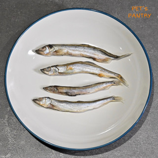 PET’s PANTRY Freeze-Dried Whole Shishamo Fish ปลาไข่ฟรีซดรายสำหรับแมวและหมา ปลาตัวใหญ่ เต็มตัว
