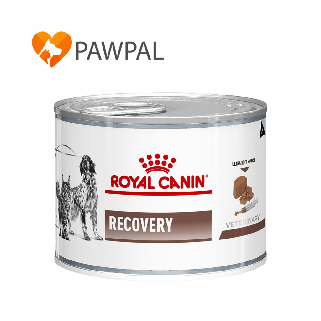 Royal Canin Recovery 195 g Exp.4/2027 อาหารสัตว์ป่วย พักฟื้น สุนัข แมว 1 กระป๋อง