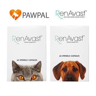 RenAvast เรนอะวาสท์ อาหารเสริมโปรตีน บำรุงไต สุนัข แมว สัตว์เลี้ยง โรคไต Renal supplement dog cat (1 กล่อง 60 แคปซูล)