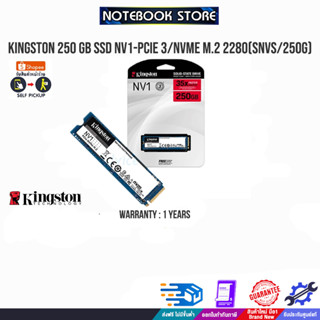 250 GB SSD KINGSTON NV1 - PCIe 3/NVMe M.2 2280 (SNVS/250G)/ประกัน 1y