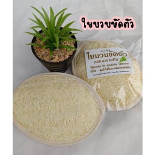 ใยบวบขัดผิว ฟองหนา  แพ๊คซีล อย่างดี  (พร้อมส่ง)