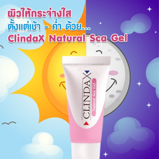 ClindaX Natural Sca gel คลินด้าเอ็กซ์ เนเชอรัล สการ์ เจล ลดผิวหมองคล้ำ ปรับความกระจ่างใส ขนาด 10 กรัม