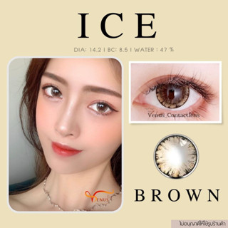 คอนแทคเลนส์  ICE​ Brown ✨ ยี่ห้อ GAEZZ ; Color Brown ( ค่าสายตา 50 -  700 )