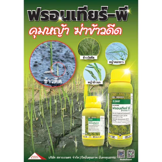 ฟรอนเทียร์ พี 500 cc. (ของแท้)( ไดเมทีนามิด-พี ) คุมหญ้า ฆ่าข้าวดีด หมักหญ้า หมักข้าวดีด ดอกขาว กก