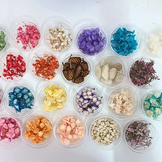 ดอกไม้แห้ง สำหรับงานDIY ดอกไม้แห้งมีหลายชนิดพร้อมส่งไม่มีขั้นต่ำ
