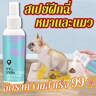 🐶จัดส่งวันนั้น🐱 ช่วยให้ลูกสุนัขและแมวเข้าห้องน้ําในสถานที่ที่กําหนด（สเปย์ฝึกหมาฉี่/ห้องน้ำสุนัข/ฝึกหมาฉี่）