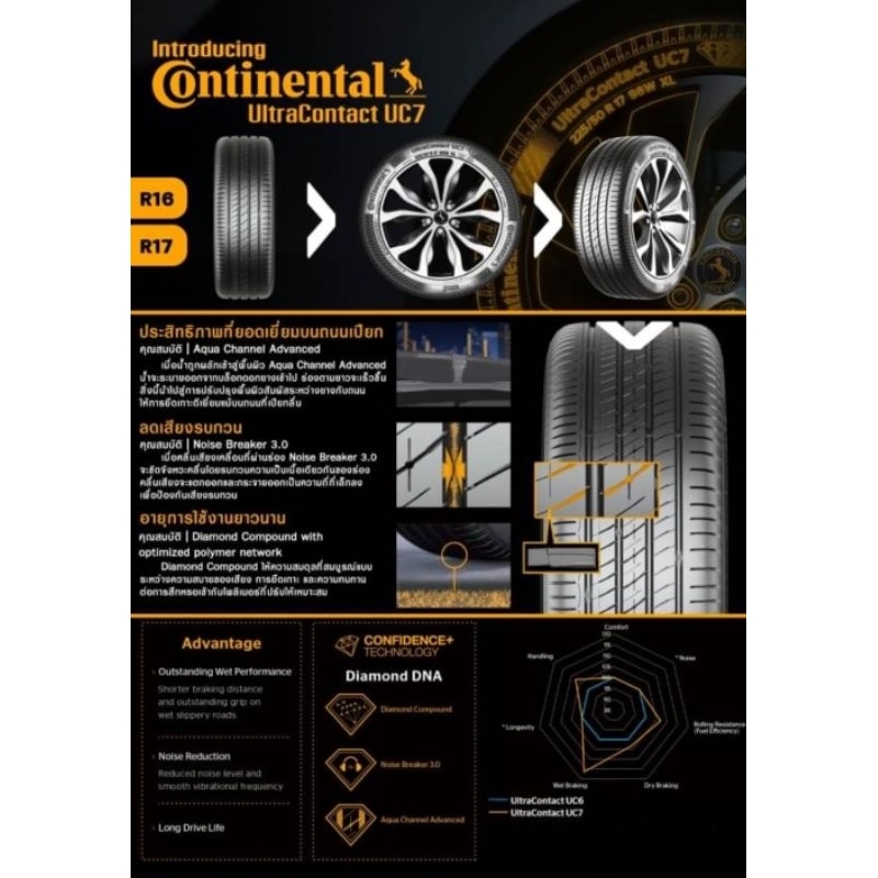 Continental​ UC7 ปี2024-2025