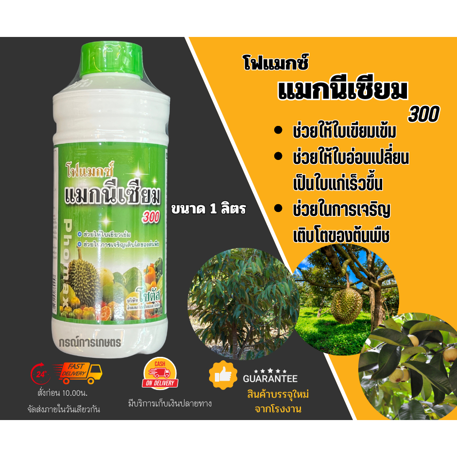 โฟแมกซ์ แมกนีเซียม 300 ขนาด 1 ลิตร (ผลิต 21067) จำนวน 1 ชิ้น