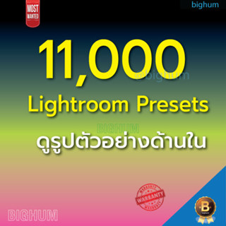 11000+ Lightroom Presets Collection (Windows / Mac)