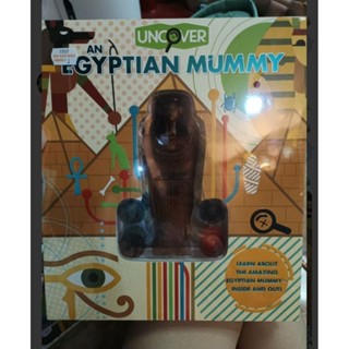 Uncover Egyptian Mummy