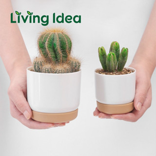 Living idea กระถางมินิมอล ดีไซน์สีขาว พลาสติก มี 2 ขนาด พร้อมจัดส่ง