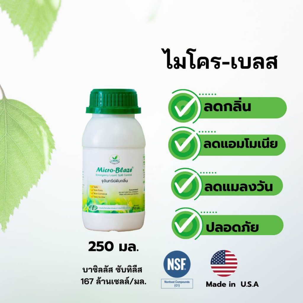 ไมโคร-เบลส หัวเชื้อจุลินทรีย์ กำจัดกลิ่น กำจัดแมลวัน ขนาด 250 มล.