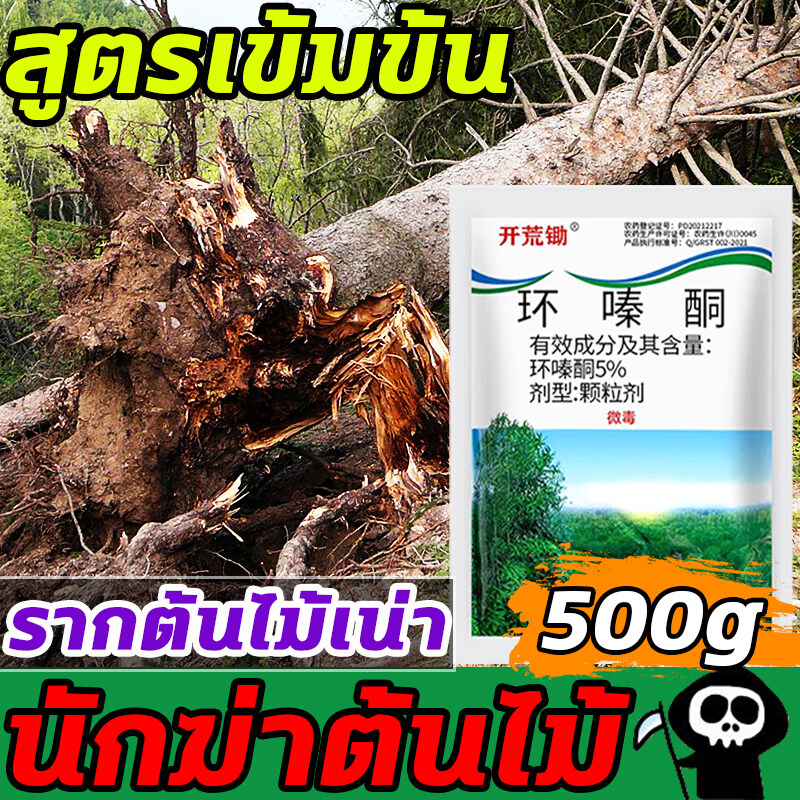 ยากำจัดต้นไม้ สารกำจัดกอไผ่ ผงกำจัดต้นไผ่ ยาฆ่าตอไม้ 500g สูตรเข้มข้น กำจัดวัชพืชรากเน่า ผลติดทนนาน