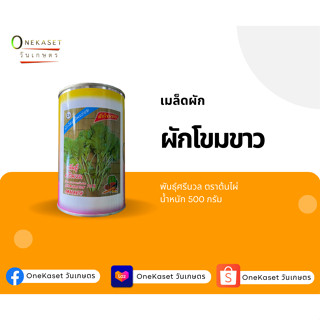 เมล็ดผักโขมขาว ตราต้นไผ่ น้ำหนัก 500 กรัม