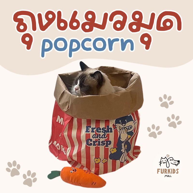 พร้อมส่งจากไทย ✨ ถุง Popcorn แมวมุดสุดฮิต !