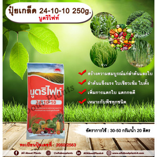 ปุ๋ยเกล็ด 24-10-10 250g. นูตริไฟท์ เร่งต้น เร่งใบ พืชเจริญเติบโต ต้นสมบูรณ์ ใบเขียวเข้ม ใบตั้ง แตกใบ ใบเขียว ต้นโต แตกกอ