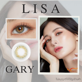 คอนแทคเลนส์  LISA Gary ✨ ยี่ห้อ BEAUTYLENS ; Color Gary ( ค่าสายตา 50 - 1000 )