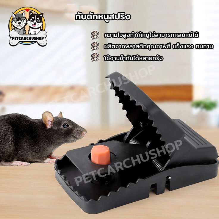 ที่ดักหนู แบบสปริง อุปกรณ์ดักหนู เหยื่อดักหนู สารกำจัดหนู กับดักหนูสปริง mouse traps ใช้ซ้ำได้ ความไวสูง