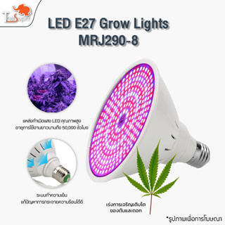 ไฟปลูกต้นไม้ LED Grow Light E27 สำหรับดอกไม้เรือนกระจกปลูกพืช การเจริญเติมโตแบบ 24 ชม