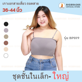 Bigbraco รหัส BP019  เกาะอกสายเดี่ยวผ้าร่องผ้านุ่มยืดหยุ่น ไม่ต้องถอดฟองน้ำ Rib-knit Bras สีดำ / เขียว / น้ำตาล /เทา