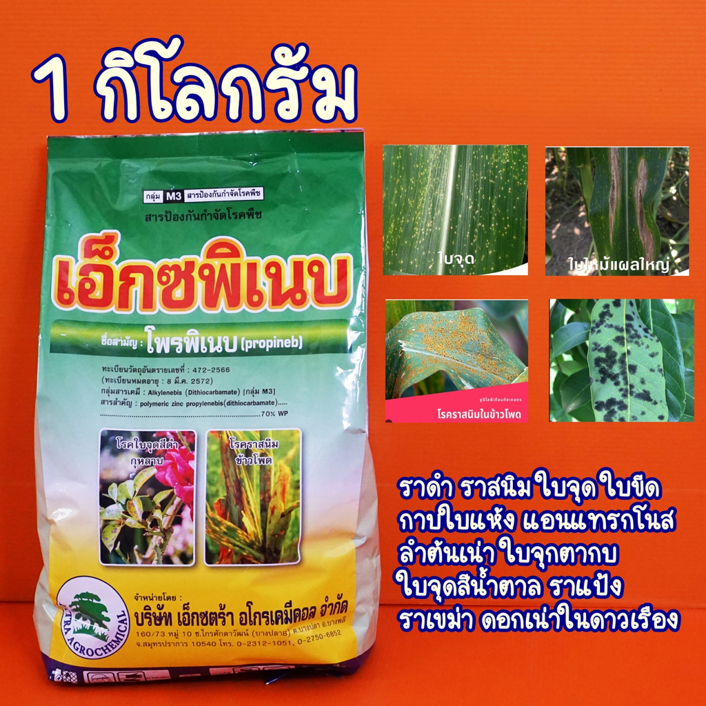 พีโคล โพรพิเนบ เอ็กซพิเนบ สารแอนทราโคล ป้องกันโรคพืช1 กิโลกรัม