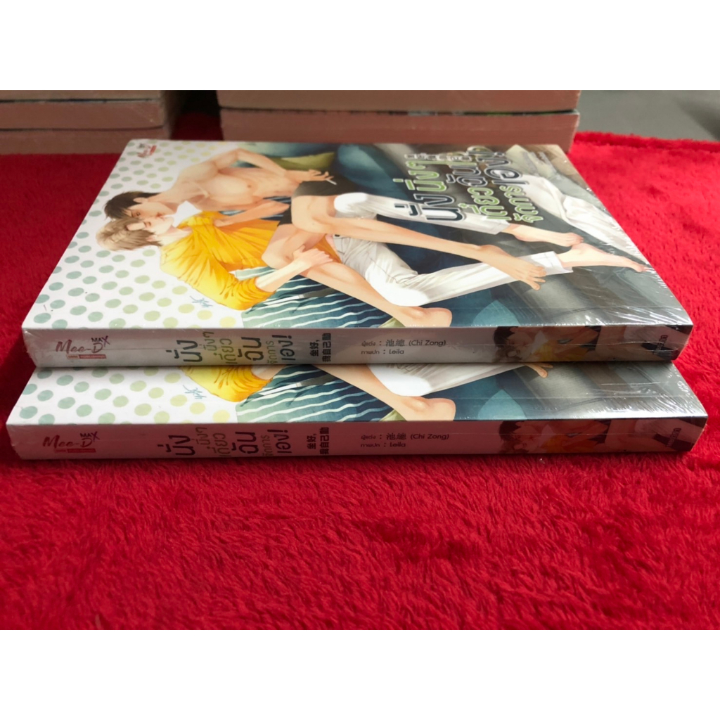 นิยายวาย นั่งนิ่ง ๆ เดี๋ยวฉันจัดการเอง! ผู้เขียน Chi Zong แปลจีน มือหนึ่ง ขีดสัน - รูปที่ 2