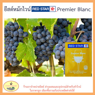 ยีสต์ หมักไวน์ RED STAR Pasteur Champagne / Premeir Blanc (ชื่อใหม่) ซองสีเหลือง