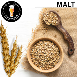 MALT - มอลต์ทำเบียร์ (ขนาด 1 lbs)